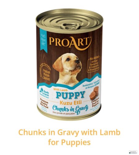 Proart Food for puppy 400g