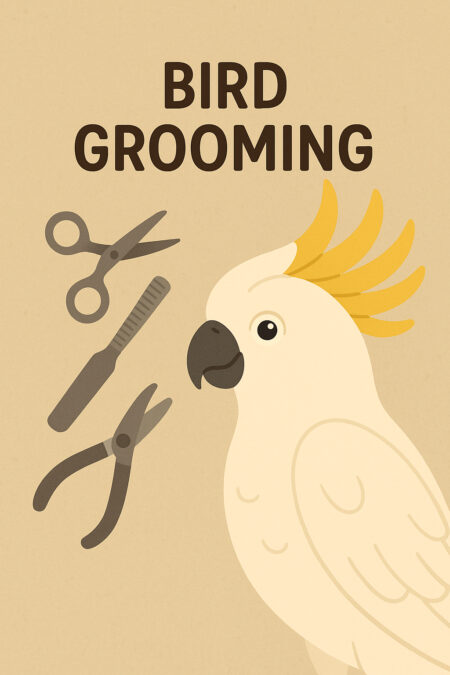 Bird Grooming Services (Beak Filing, Nail Clipping, Wing Clipping)