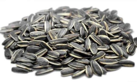 Sunflower Seeds 1kg