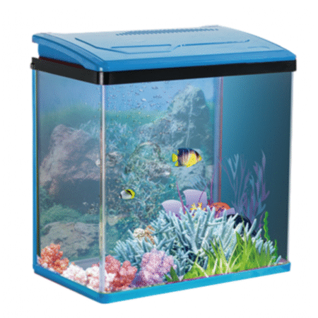Karis PY-Series Aquarium 480 x 260 x 450mm[Color - Blue]