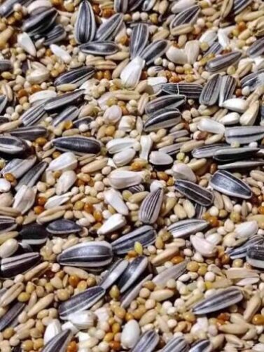 Seeds for small parrots 1kg