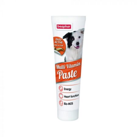 Beaphar Duo Active Multivitamin Dog Paste – 100g
