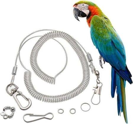 Bungee Bird Leash